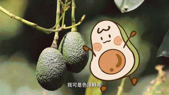 XxjinmC007012_20221108_CBMFN0A006.gif