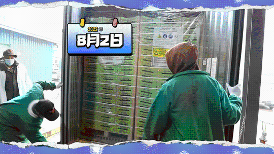 XxjinmC007012_20221108_CBMFN0A002.gif